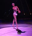 G290V1T-20151231-192201_IMG_6993-7a