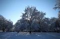T-20160118-134940_IMG_0844-6