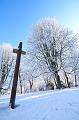 T-20160118-135402_IMG_0877-6