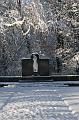 T-20160118-135558_IMG_6023-7
