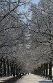 T-20160118-135856_IMG_6065-7a