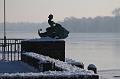 T-20160118-140008_IMG_6069-7