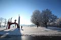 T-20160118-140210_IMG_0914-6