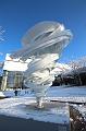 T-20160118-140426_IMG_0925-6
