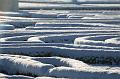T-20160118-143008_IMG_6104-7