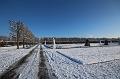 T-20160118-143122_IMG_0941-6