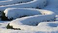 T-20160118-143516_IMG_6121-7a