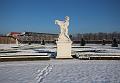T-20160118-143846_IMG_0989-6a