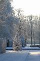 T-20160118-144648_IMG_6180-7