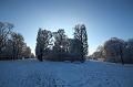 T-20160118-144712_IMG_1011-6