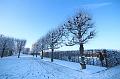 T-20160118-144844_IMG_1035-6