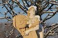 T-20160118-145258_IMG_6205-7