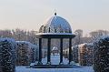 T-20160118-145850_IMG_6237-7