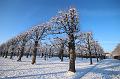 T-20160118-150026_IMG_1095-6