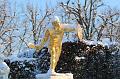 T-20160118-150224_IMG_6246-7