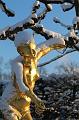 T-20160118-150514_IMG_6274-7