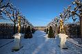T-20160118-150558_IMG_1107-6