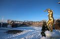 T-20160118-150856_IMG_1122-6