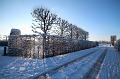 T-20160118-151532_IMG_1164-6