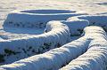 T-20160118-151728_IMG_6335-7