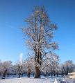 T-20160118-152424_IMG_1194-6aaaa