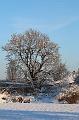 T-20160118-152646_IMG_6370-7