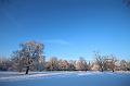 T-20160118-152650_IMG_1206-6