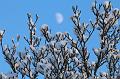 T-20160118-152908_IMG_6383-7