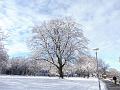 T-20160119-143808_P1260239