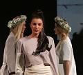 T-20160206-160157_IMG_3986-7a
