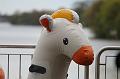 T-20160428-121333_IMG_2143-7