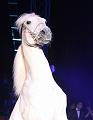 T-20160504-194810_IMG_5887-7a
