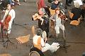 T-20160521-192323_IMG_1978-7