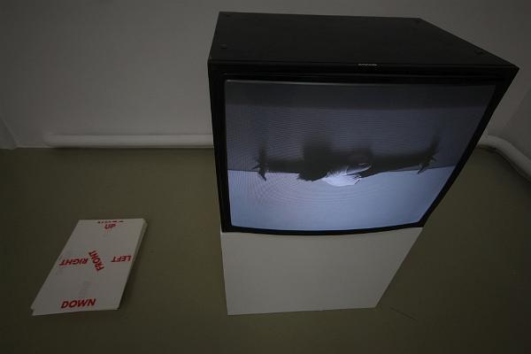 T-20160610-211600_IMG_4457-6.JPG