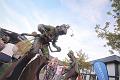 T-20160819-194203_IMG_1191-6a