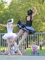 T-20160827-165222_IMG_3077-7a