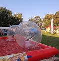 T-20160827-172039_IMG_0471-6a