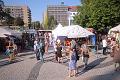 T-20160827-172422_IMG_0481-6