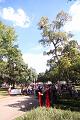 T-20160901-160918_IMG_2299-6