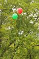 T-20170508-165854_IMG_0784-6