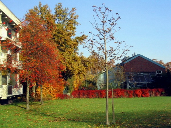 Herbstimpressionen_03.jpg