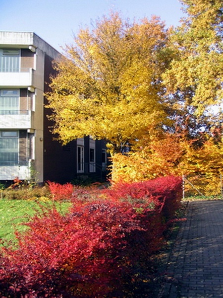 Herbstimpressionen_04.jpg