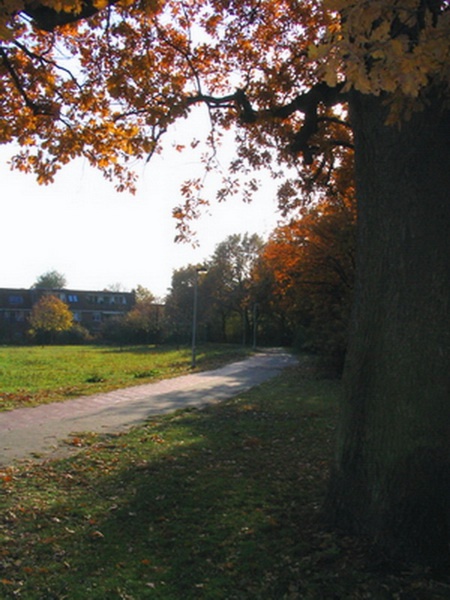 Herbstimpressionen_16.jpg