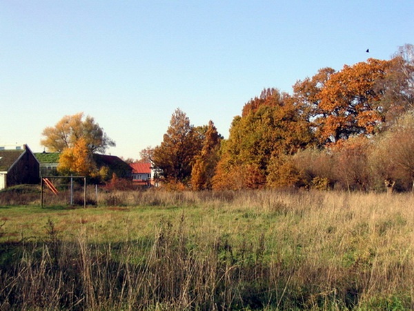Herbstimpressionen_22.jpg