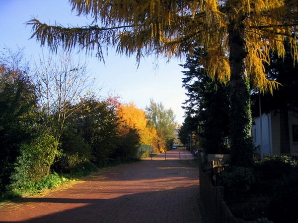 Herbstimpressionen_24.jpg