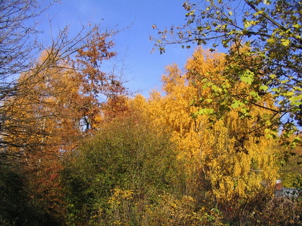 Herbstimpressionen_26.jpg
