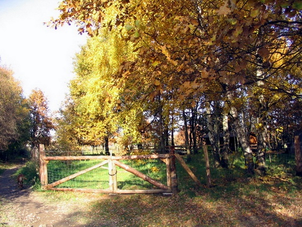 Herbstimpressionen_29.jpg