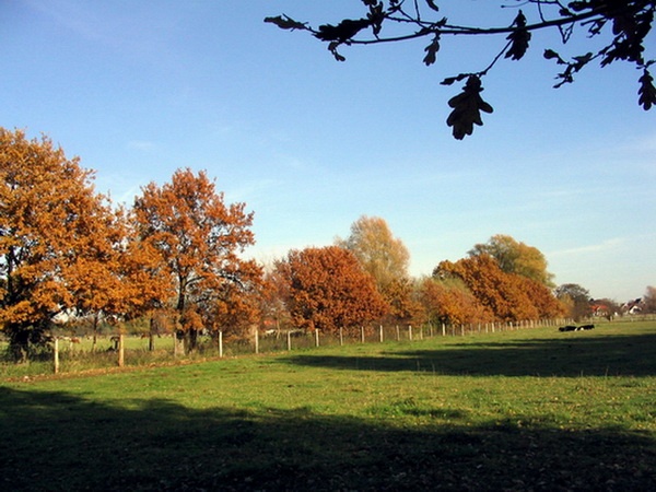 Herbstimpressionen_33.jpg