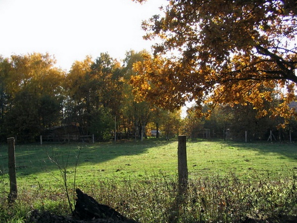 Herbstimpressionen_35.jpg