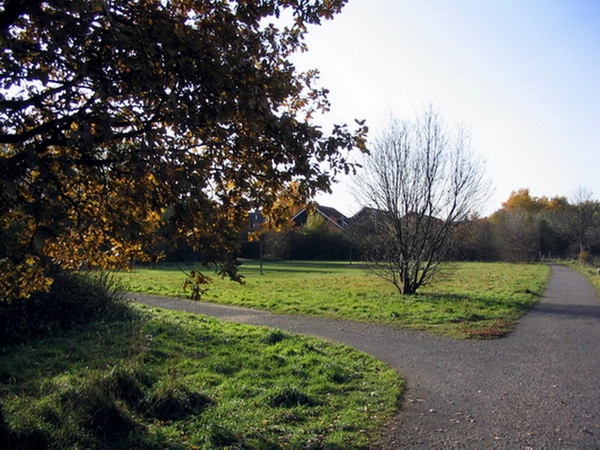 Herbstimpressionen_53.jpg